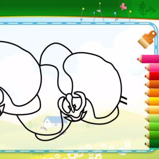 個人接案SOHO程式開發 - 青山蘭花公司兒童繪圖iOS APP