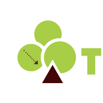 SAPPHO - 英文網站商標設計