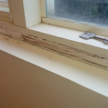 蘋果達人清潔社 - 窗戶除矽膠前