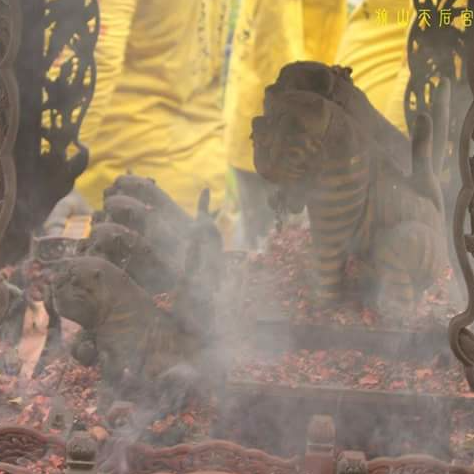 小朱 - 虎哥大顯神威