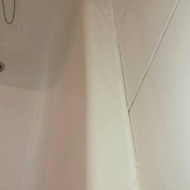 蘋果達人清潔社 - 浴缸除黴菌後