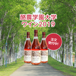 2019年度ワイン販売開始