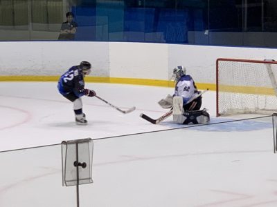 酪農学園大学 農食環境学群 獣医学群
