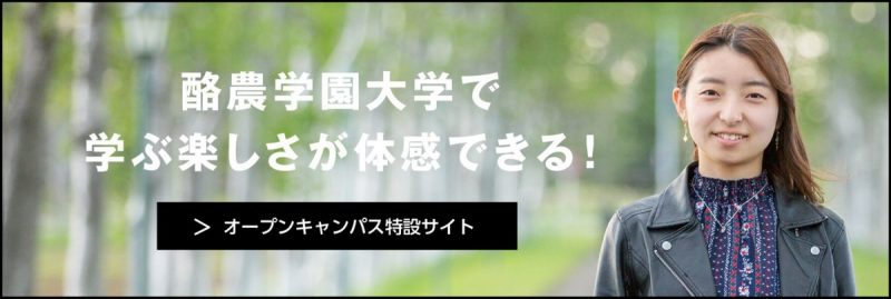 人気急上昇超特価 通販激安 送料無料 車用品 オールシーズンタイヤ ホイール4本セット 185 Mid 55r15 15インチ Mid 5 5j シュナイダー スタッグ 5 5j 5 50 15 Michelin ミシュラン クロスクライメート プラス