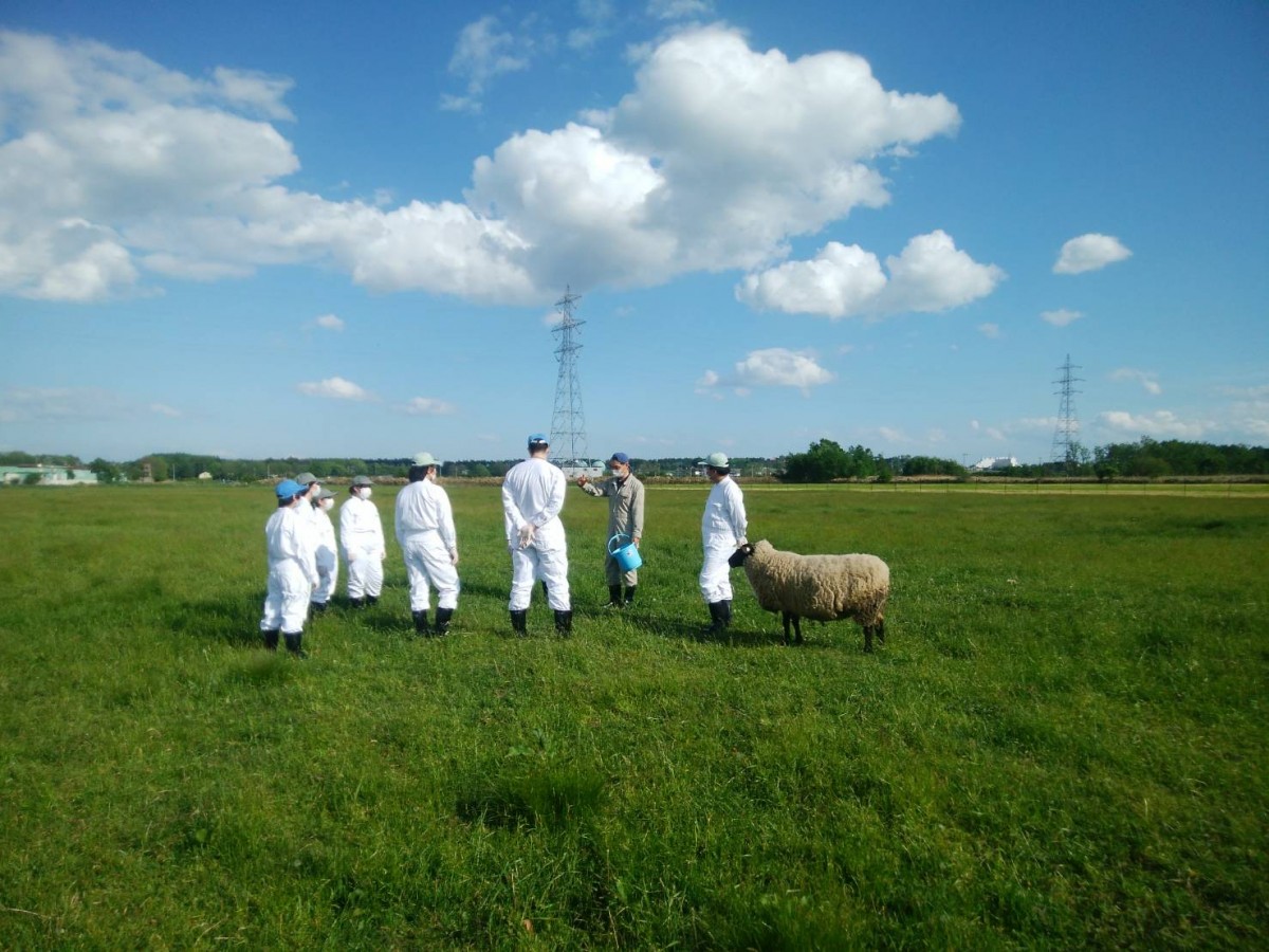 １年生の 健土健民入門実習 中小家畜飼養 対面実習 スタート 酪農学園大学 農食環境学群 獣医学群