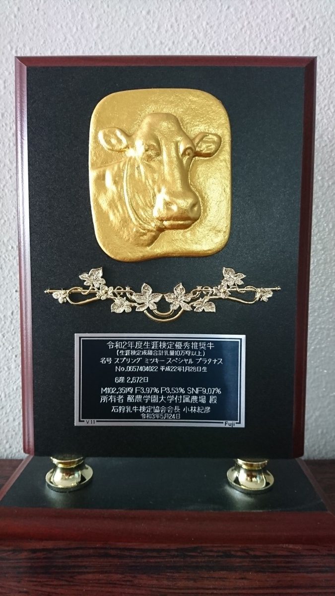 Fedrec酪農生産ステーションの乳牛が生涯検定優秀推奨牛の表彰を受けました 酪農学園大学 農食環境学群 獣医学群