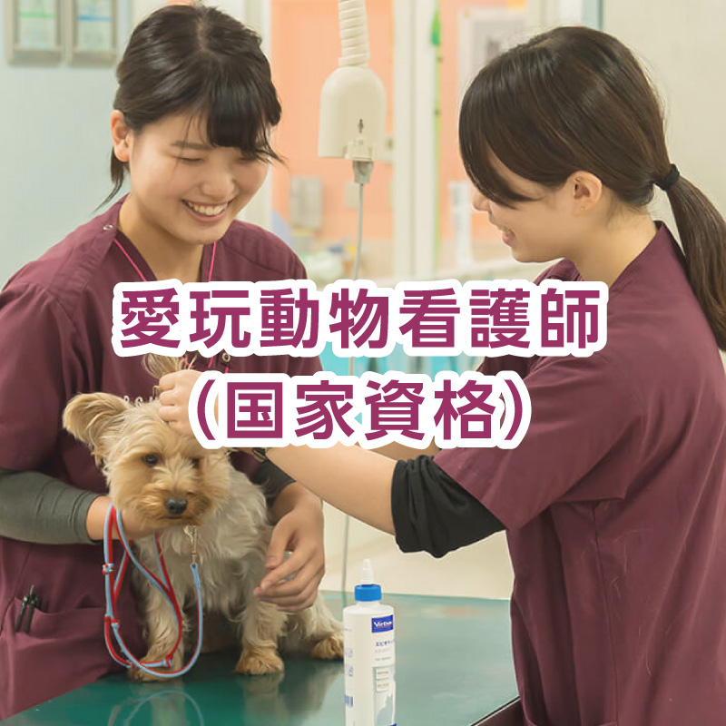 愛玩動物看護師の国家資格化
