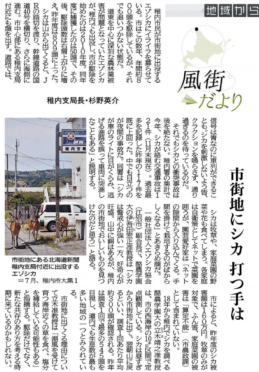 北海道新聞 地域から 風街だより 市街地にシカ 打ち手は 環境共生学類 伊吾田宏正准教授 立木靖之准教授 酪農学園大学 農食環境学群 獣医学群