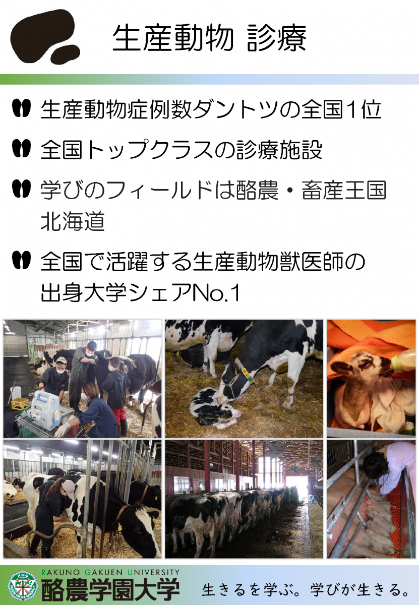 獣医学類案内チラシが完成しました 酪農学園大学 農食環境学群 獣医学群