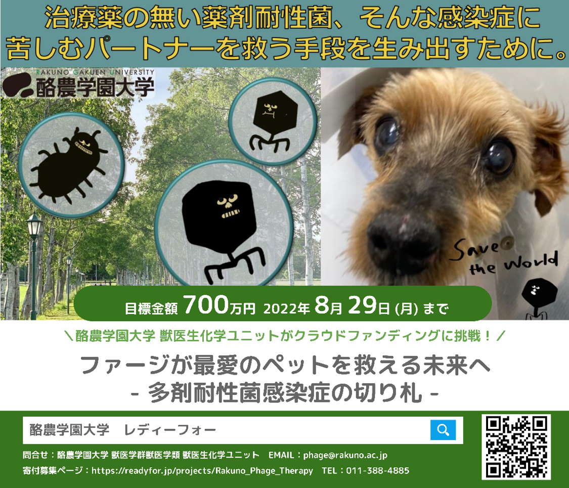 プレスリリース 獣医学類 獣医生化学ユニットがクラウドファンディングに挑戦 酪農学園大学 農食環境学群 獣医学群