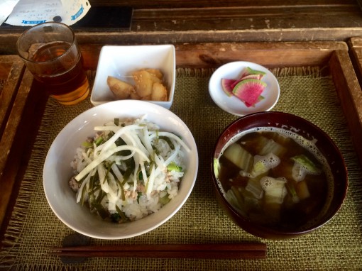 SYOKU-YABO農園で食の野望を持ったスタッフ募集。