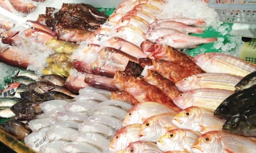 Real Local 福岡福岡のおいしい魚の秘密を探ろう Reallocal 移住やローカルまちづくりに興味がある人のためのサイト イベント