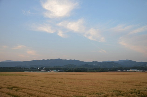 【締切:8月16日】山の中の果樹園でいい汗をかいて、温泉で疲れを癒す贅沢な日々を体験しませんか?