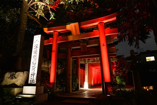 秋の夜に浮かび上がる博多の歴史美