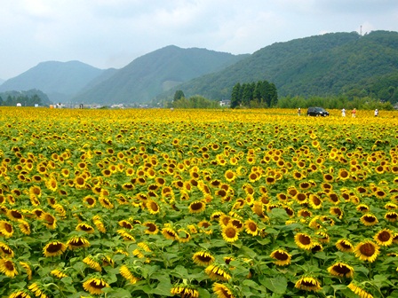 佐用町で、地域のしごとのこれからについて考えるデイキャンプ!