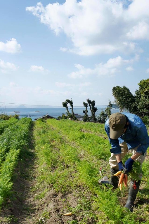 忘れられない野菜をつくる夫婦