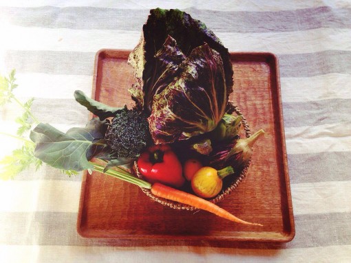 忘れられない野菜をつくる夫婦