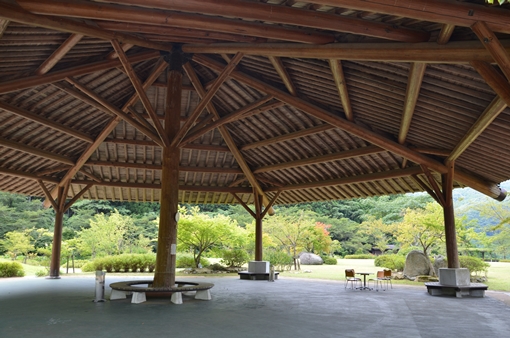 那珂川町の大自然に触れるピクニック