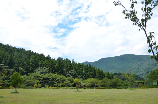 那珂川町の大自然に触れるピクニック