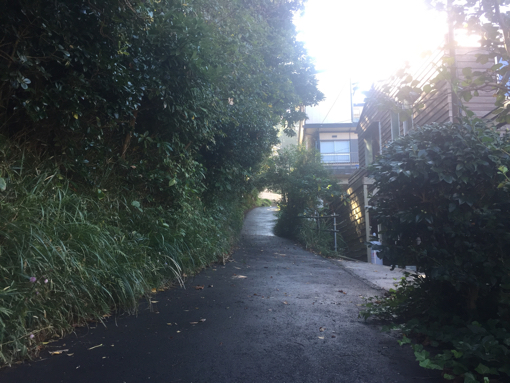 築80年、1500坪の古民家
