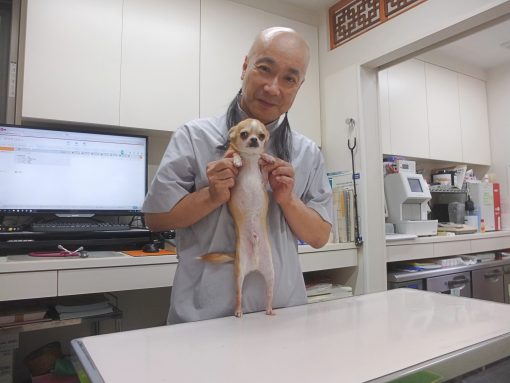 鎌倉から、日本式の中獣医学を発信するドクター