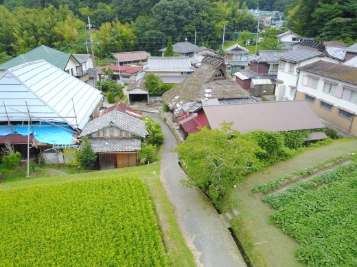 パンを焼いて、茅葺屋根を直そう!