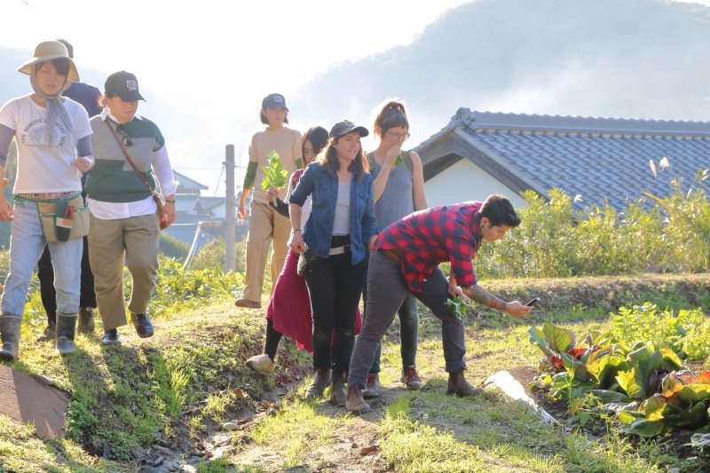 神戸の農の未来に寄り添う仕事