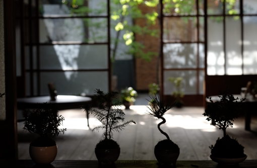 【篠山】SASAYAMA STYLE BREATH&ROY
