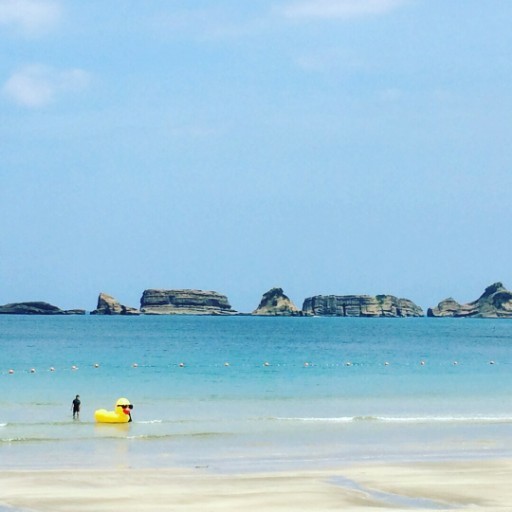 Real Local 鹿児島 おじゃりもうせ 種子島移住のススメ Vol 1 地域情報