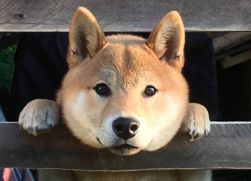 GLAMPiC ゲストハウス完成披露パーティー