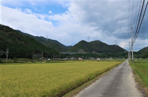都市と農村と歴史が共存する街、三田市での挑戦!