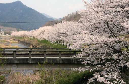 都市と農村と歴史が共存する街、三田市での挑戦!