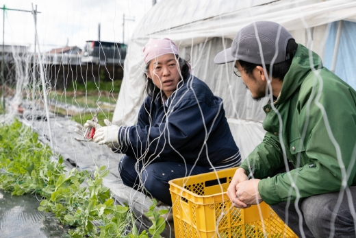 神戸の農に寄り添う仕事。FARMSTANDで働きませんか?
