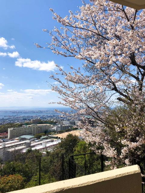 神戸市灘区鶴甲 60.87平米 500万円