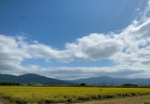 奈良最古の醤油蔵が宿泊施設として今夏開業! 運営スタッフを募集中です!