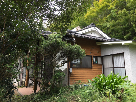 鹿児島県ど田舎産『umaga』♪ IMG_4258-520x390.jpg