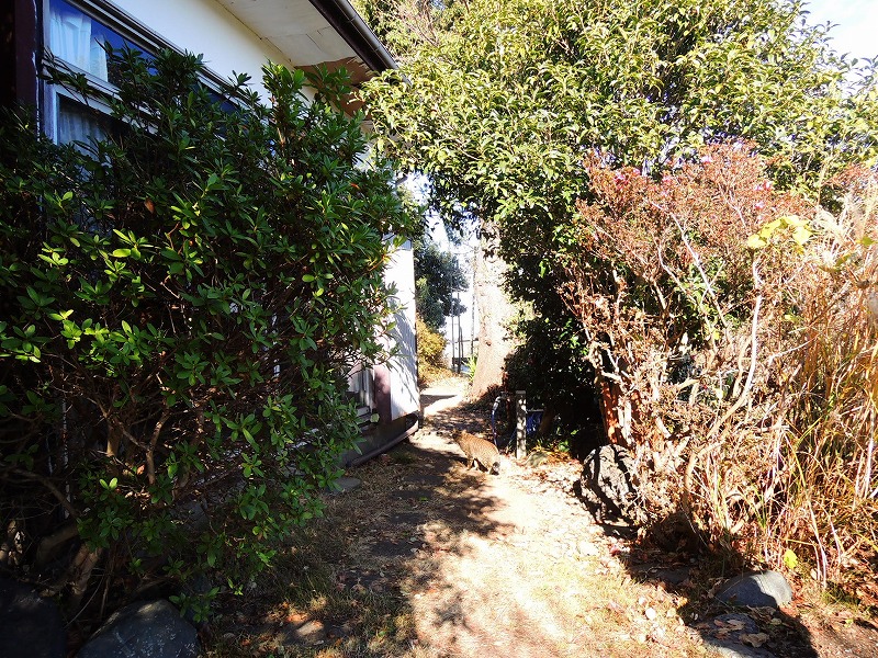 タカラの庭にようこそ!【横須賀市田浦】