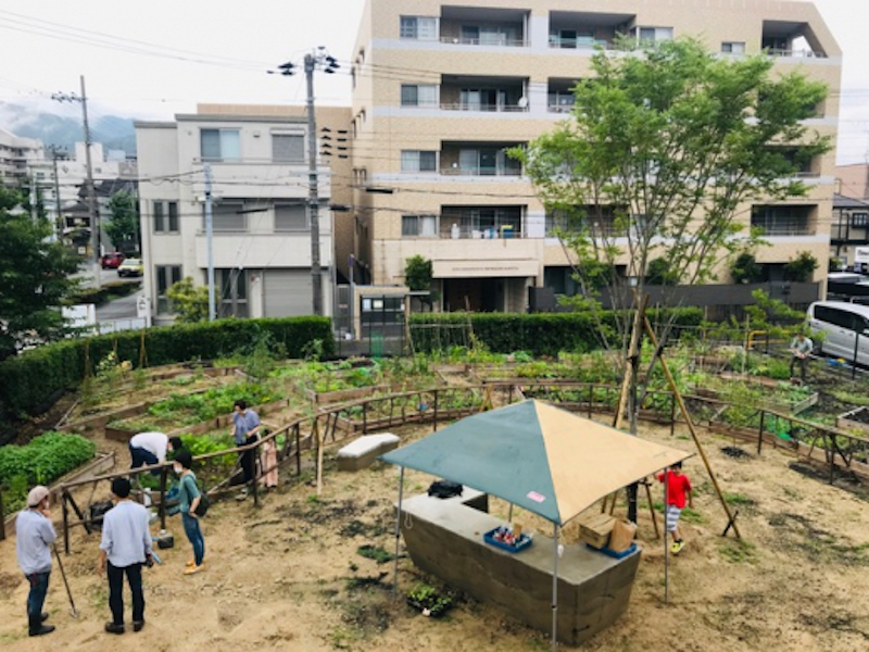 旧宮塚町住宅の農園「CITY FARM CLUB」の利用希望者を追加募集