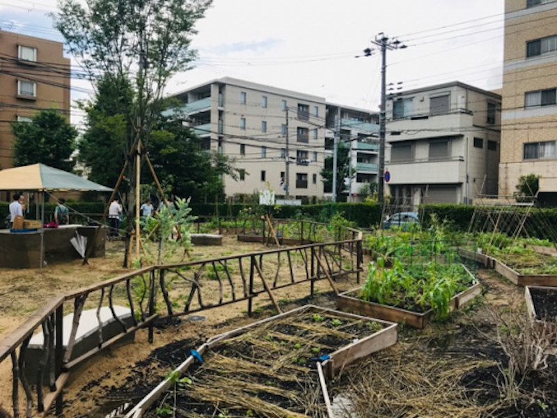 旧宮塚町住宅の農園「CITY FARM CLUB」の利用希望者を追加募集