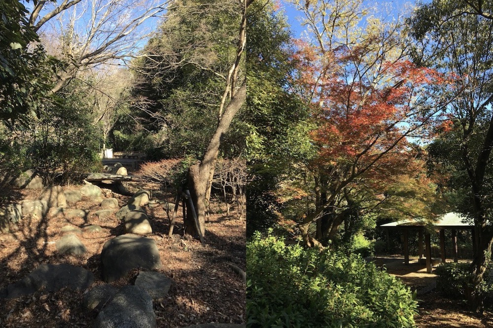 兵庫区山裾・平野エリアの公園で農園はじめます。