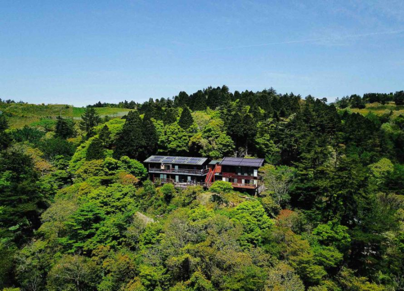 【6/26(土)】六甲山の植生と高山植物ついて、一緒に学びませんか?
