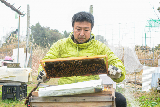 real local 鹿児島【鹿児島県出水市】ミツバチが運んでくるのは恐怖
