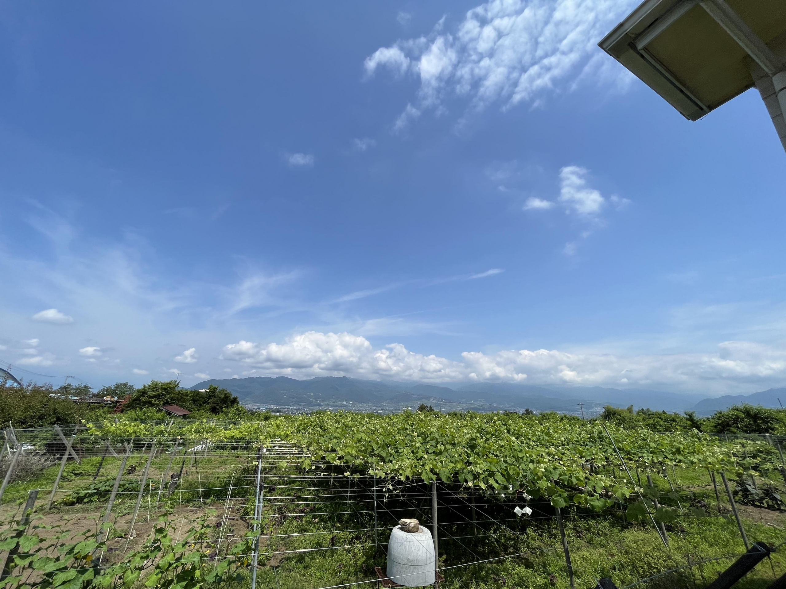 real local 南八ヶ岳【RENT】「日本一の桃の里。春には眼前の盆地が 