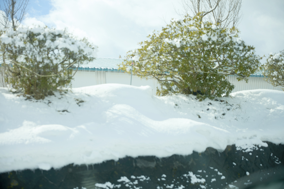 知らない街／February 2025_3／写真家・川村恵理