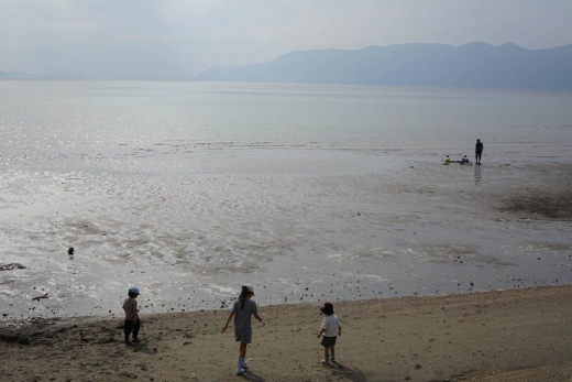 【鹿児島県霧島市】小浜の海で遊ぼう 学ぼう 干潟のいきもの観察ツアー / OBAMA LIFE