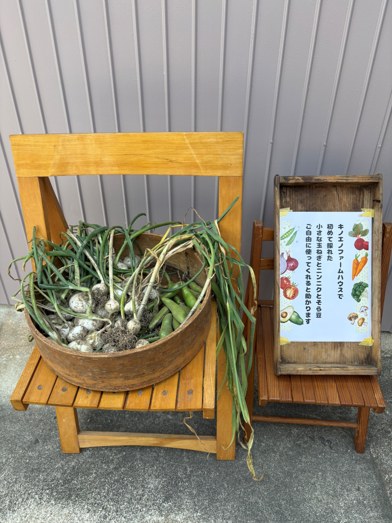 【愛知県・岡崎市】路地裏のシェアハウス「キノエノ*farm house」