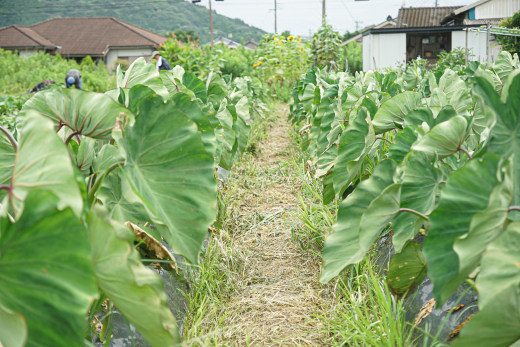 【鹿児島県薩摩川内市】「できる」を役割に。情熱と楽しさが生み出す「誇り」あふれる空間。／ 合同会社情熱家 田原千穂子さん・本村修さん