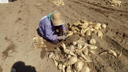 【鹿児島県薩摩川内市】「できる」を役割に。情熱と楽しさが生み出す「誇り」あふれる空間。／ 合同会社情熱家 田原千穂子さん・本村修さん