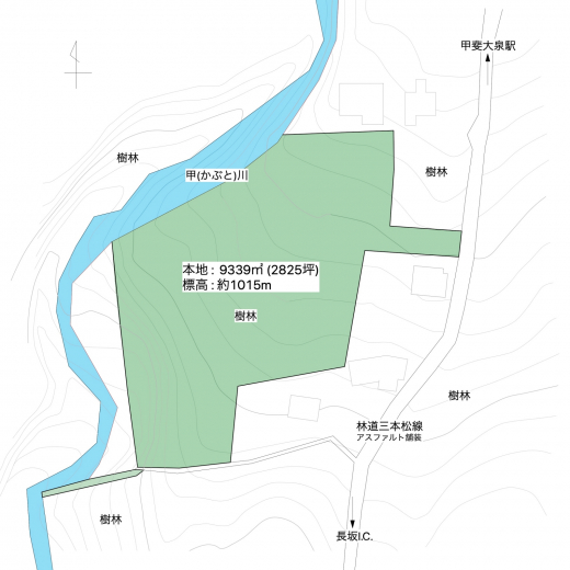 渓流が寄り沿う南麓の森