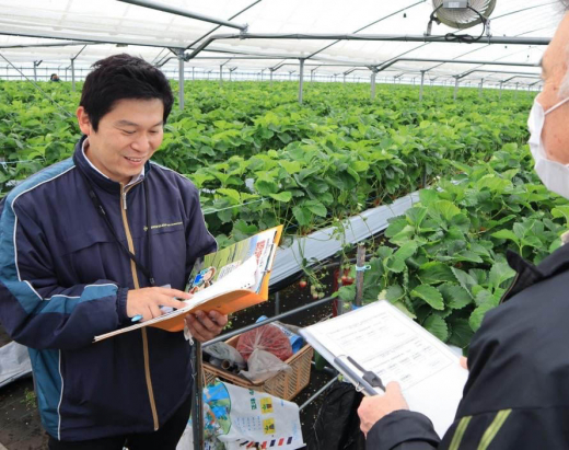 オオスミ発、未来便。鹿児島県大隅地域から届く、旬と物語